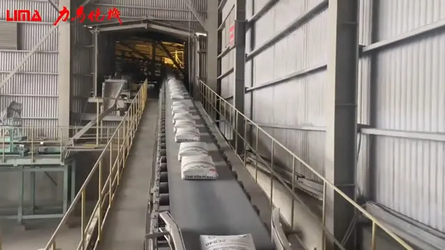 Automatic bagging and palletizing machine for a Vietnam cement company